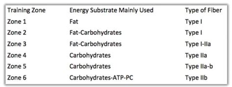 Zone 2 Cardio Why You Should Be Doing It