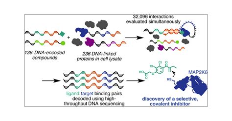 Discovery Of A Covalent Kinase Inhibitor From A Dna Encoded Small