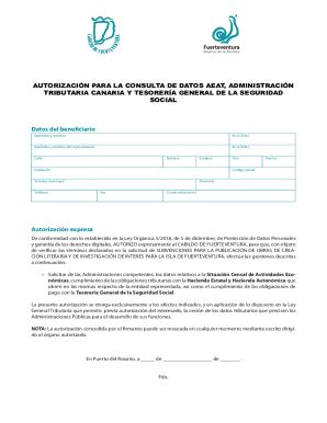 Completable En línea autorizacin para la consulta de datos en relacin