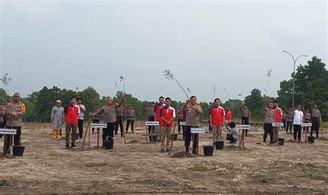 Polda Babel Bpdas Baturusa Cerucuk Tanam Pohon Kayu Putih Dan Jambu