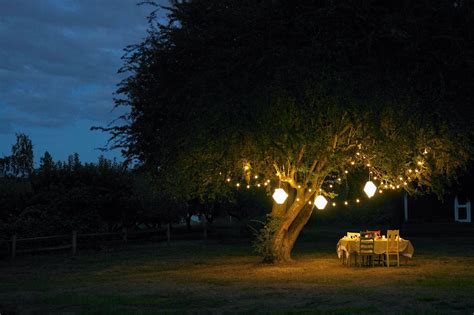 Ideas for Lighting Your Garden at Night