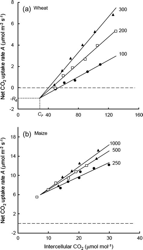 Net CO2 Assimilation Rate A As A Function Of Intercellular CO2