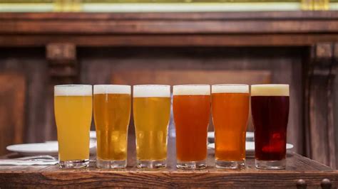 Como Fazer Cerveja Artesanal Em 8 Passos