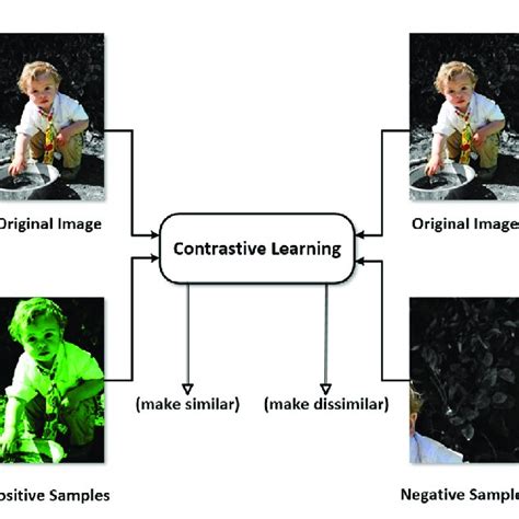 Contrastive Learning Makes The Same Objects Positive Samples Similar Download Scientific