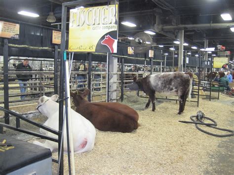 Ranch House Designs Blog: Thank you Shorthorn breeders!