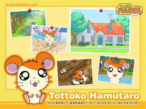 Hamtaro The Hamtaro Wiki Fandom Powered By Wikia