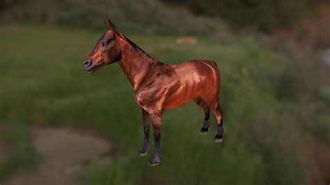 Horse 3D Model (FREE) - Download Free 3D model by Empire ...