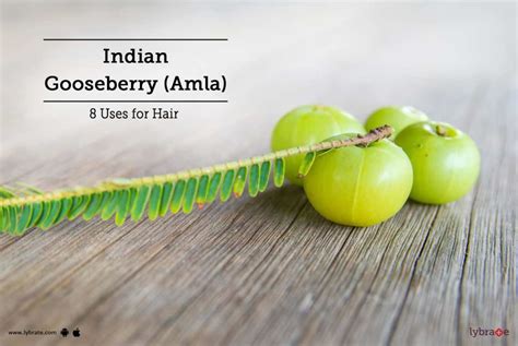 Benefits Of Amla Indian Gooseberry For Hair By Dr Ashwini Vivek