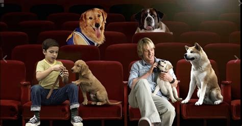 Live-Action Dog Movies