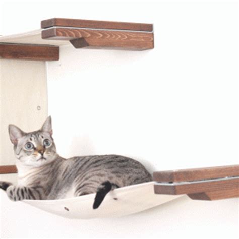 Catastrophicreations The Cat Mod Double Decker Hammocks For Cats In