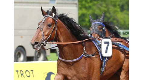 Galago du Cadran tente le doublé à une semaine d intervalle LETROT