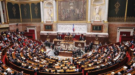 L Assembl E Nationale Adopte La Proposition De Loi Bien Vieillir En