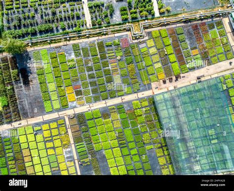 Nursery Garden Hi Res Stock Photography And Images Alamy