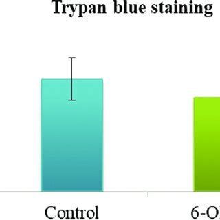 Effect Of Catechin On The Cell Viability Of Sk N As Cells And In Vitro