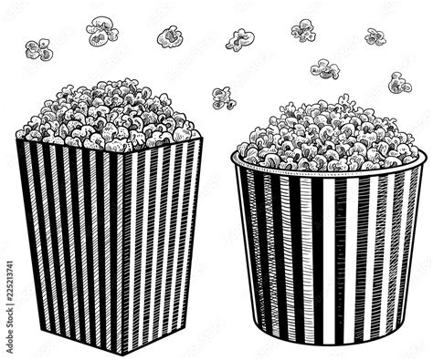 popcorn  box illustration drawing engraving ink  art vector