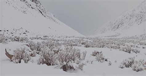 Las Hermosas Postales De La Nevada De Calingasta En Las Redes Sociales