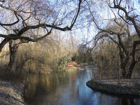 Im Stadtpark Steglitz Berlin NGIDn891401038 Naturgucker De