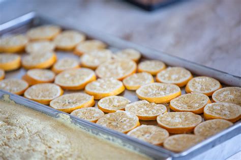 How To Make Freeze Dried Lemons 3 Ways GREY BRIANNA