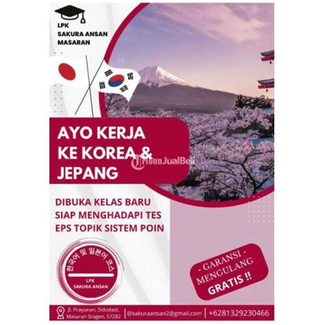 Kursus Bahasa Jepang Lpk Sakura Ansan Masaran Di Sragen Tribun Jualbeli