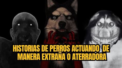 Hora De Historias De Perros Actuando De Forma Extra A Y Aterrador