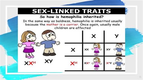 Sex Linked Inheritance Ppt