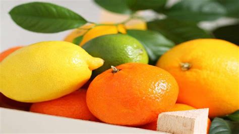 Surprising Health Benefits Of Citrus Peel