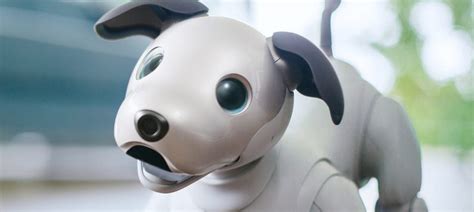 Sony Aibo Ai Infused Robotic Dog Back To Life Gadget Reviewed