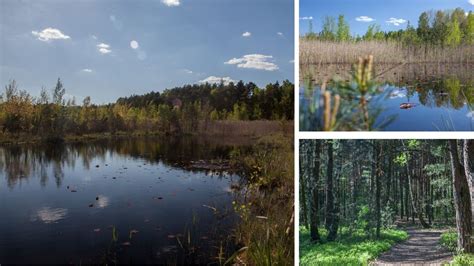 Jezioro Torfy W Warszawie Niczym Ukryte Mazury Dzikie Miejsce W Rodku