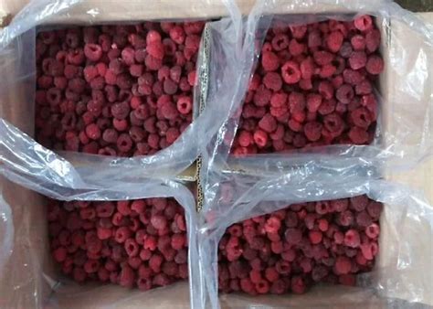 Iqf Frozen Raspberry