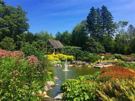 Visit Giant Trolls At The Coastal Maine Botanical Gardens In Maine