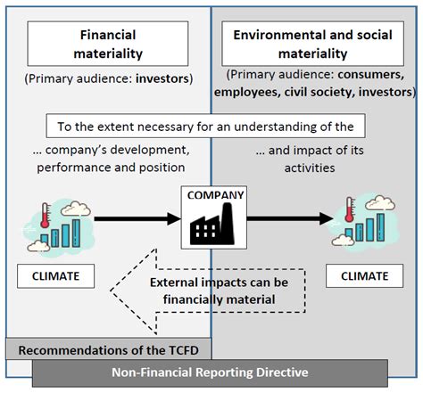 Sustainability Free Full Text In Search Of Double Materiality In