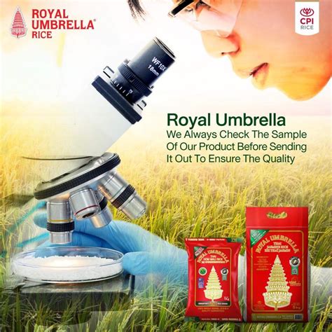 Best Thai Jasmine Rice Brand | Royal Umbrella