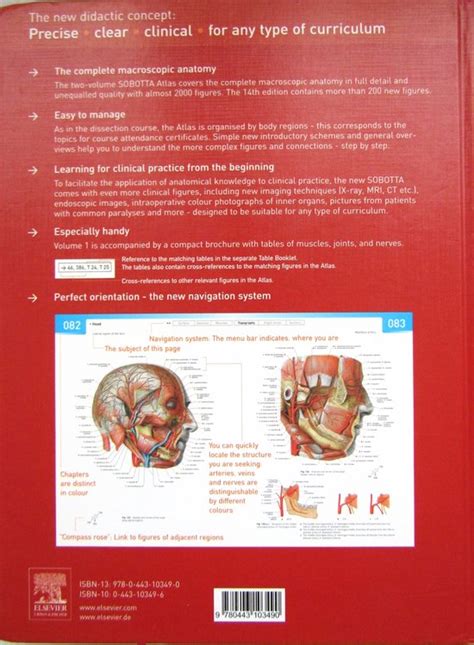 Atlas Of Human Anatomy Volume 2 9780443103490 Johannes Sobotta