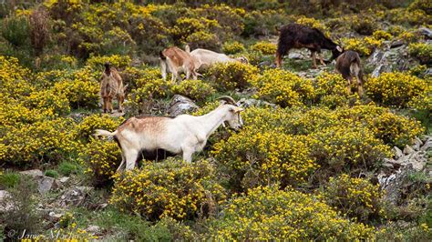 Schist Villages Map & Travel Guide | Wandering Portugal