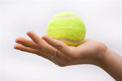 Hand Holding Tennis Ball Stock Photo Image Of Isolated