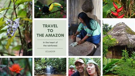 The Amazon: an unforgettable journey in Ecuador's rainforest!