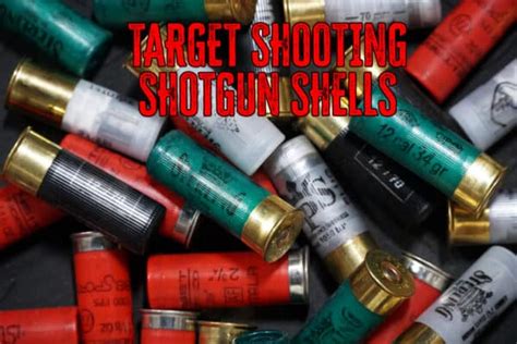 Best Shotgun Shells For Target Practice True Shot Ammo