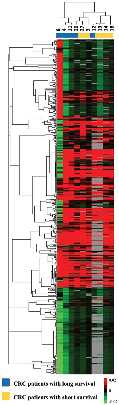 Unsupervised Clustering Analysis Of Mirna Expression Heat Maps Showing