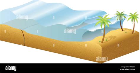 Diagrama de cómo se forman los tsunamis Imagen Vector de stock Alamy