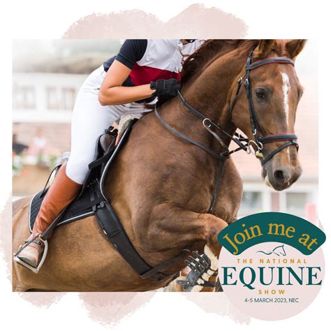 Marketing Materials - National Equine Show 2023