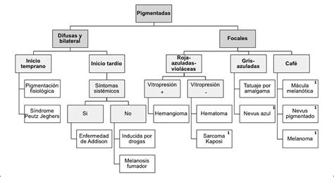 Enfrentamiento De Lesiones De Cavidad Oral Clasificaci N Y Diagn Stico