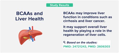 BCAA Benefits: Muscle Growth and Beyond - The Nutrition Insider