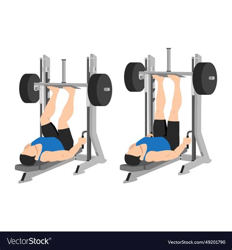 Man doing smith machine leg press exercise Vector Image