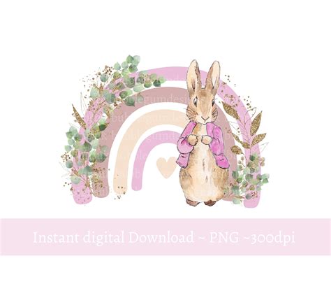 Flopsy Bunny Rainbow Png Bunny Sublimation Design Pink Rainbow Bunny