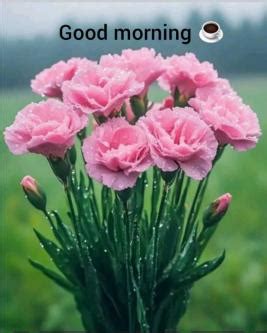 Pussy Licking Pussy Licker Pussy Eater Kuala Lumpur