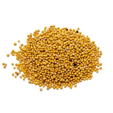 Yellow Mustard Seeds