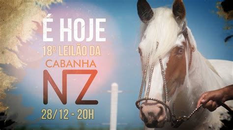 18º LEILÃO DE CAVALOS CRIOULOS CABANHA NZ YouTube