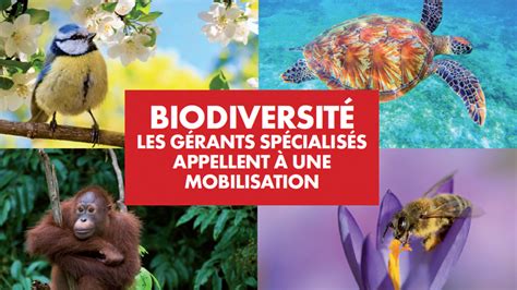 Biodiversité les gérants spécialisés appellent à une mobilisation