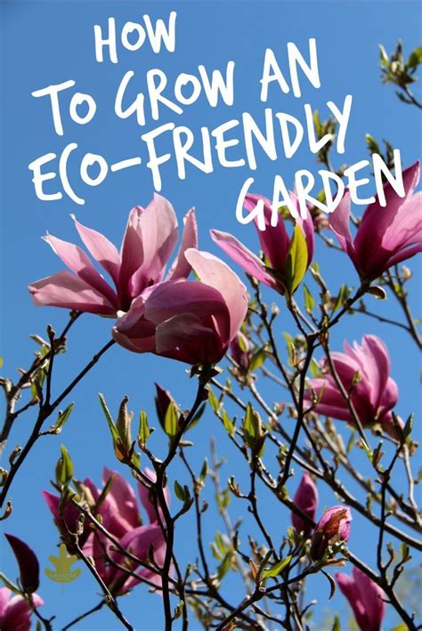 How to Grow an Eco-Friendly Garden - tips for environmentally friendly gardening! organic ...