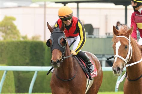 【阪神牝馬s】ウンブライルが上がり最速タイで急追も半馬身及ばず2着 川田「勝ち馬は着差以上に強い馬ですから」（東スポ競馬）｜dメニューニュース